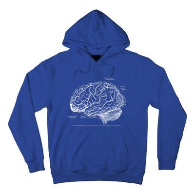 Vintage Hu Brain Anatomy Gift Tall Hoodie