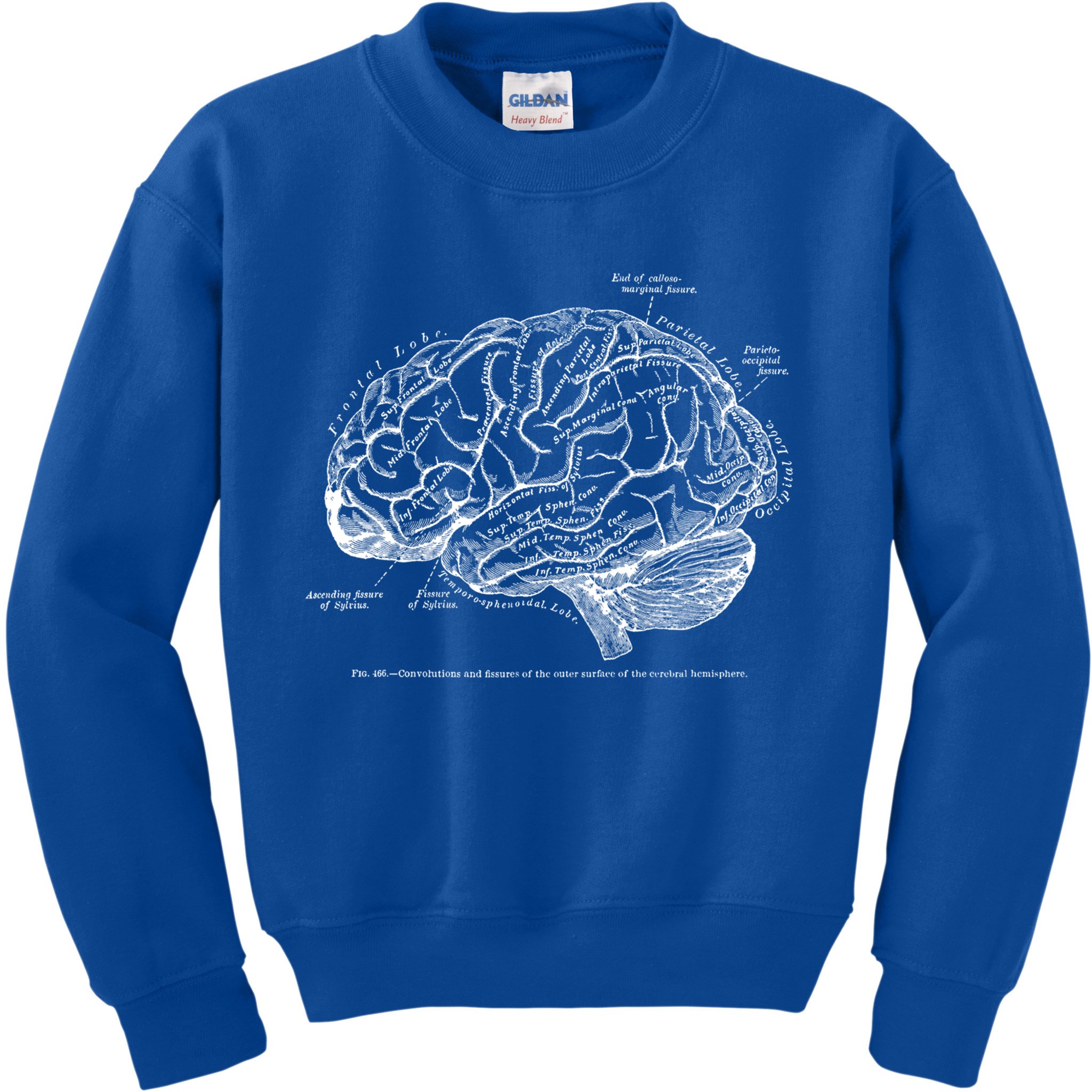 Vintage Hu Brain Anatomy Gift Kids Sweatshirt