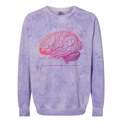 Vintage Hu Brain Anatomy Gift Colorblast Crewneck Sweatshirt