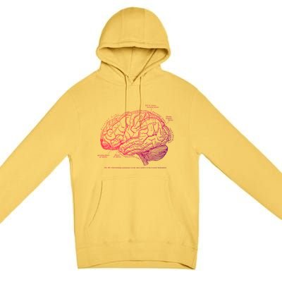 Vintage Hu Brain Anatomy Gift Premium Pullover Hoodie