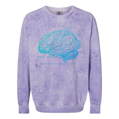 Vintage Hu Brain Anatomy Gift Colorblast Crewneck Sweatshirt