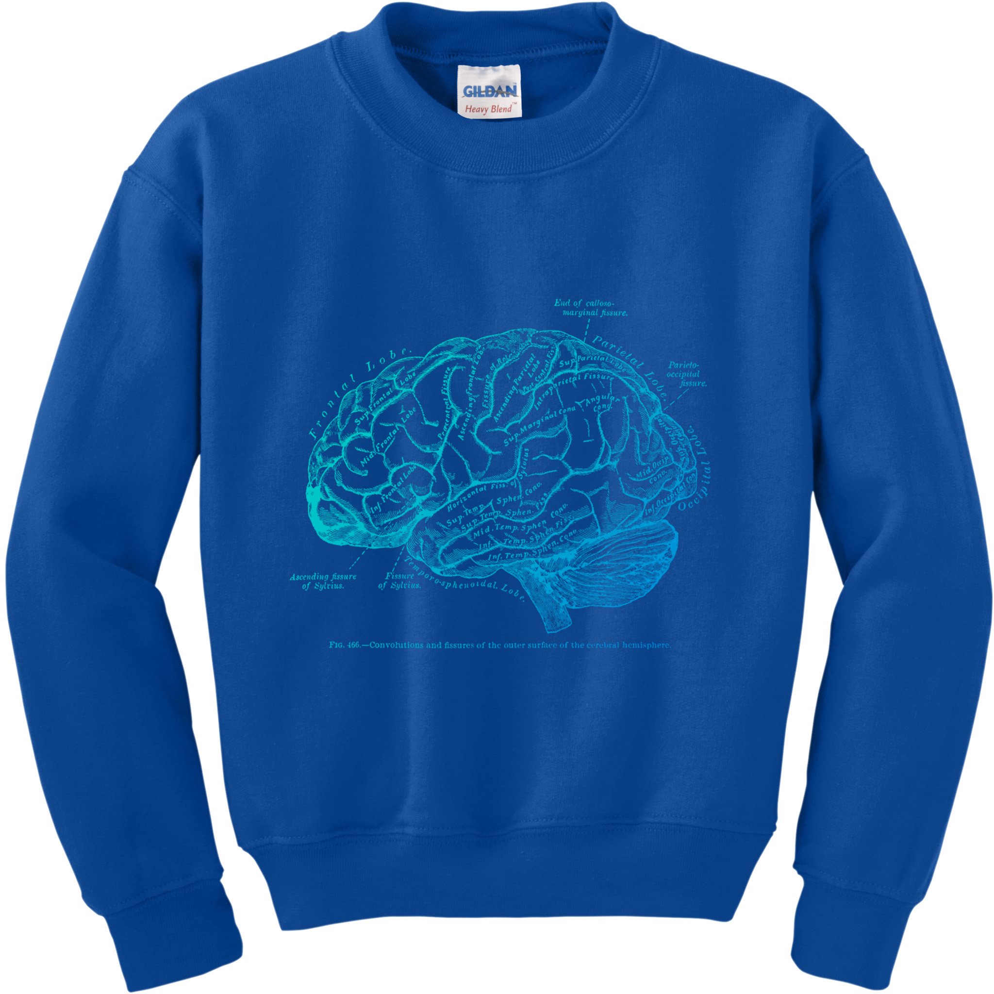 Vintage Hu Brain Anatomy Gift Kids Sweatshirt