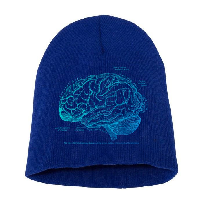 Vintage Hu Brain Anatomy Gift Short Acrylic Beanie