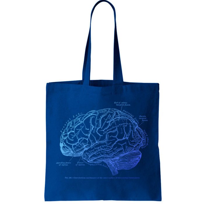 Vintage Hu Brain Anatomy Gift Tote Bag