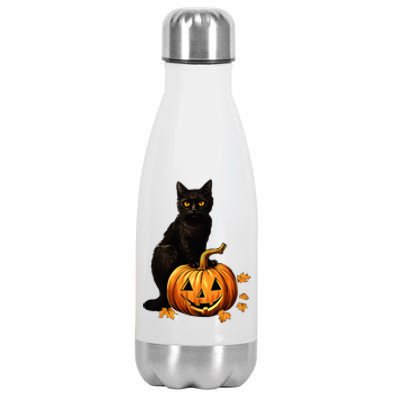 Vintage Halloween Cat Costume Stainless Steel Insulated Water Bottle