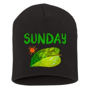 Very Hungry Caterpillar Sunday Fruits Birthday Caterpillar Short Acrylic Beanie