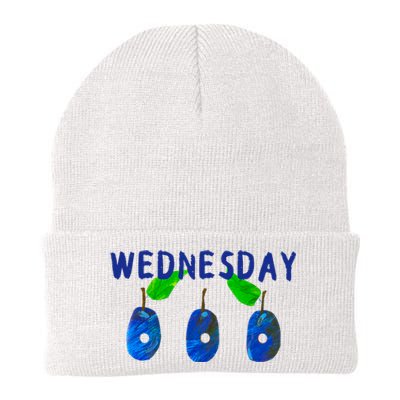 Very Hungry Caterpillar Wednesday Fruit Birthday Caterpillar Knit Cap Winter Beanie