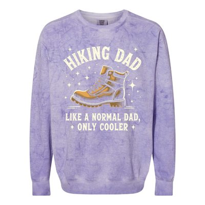 Vintage Hiking Dad Like A Normal Dad Only Cooler Meaningful Gift Colorblast Crewneck Sweatshirt