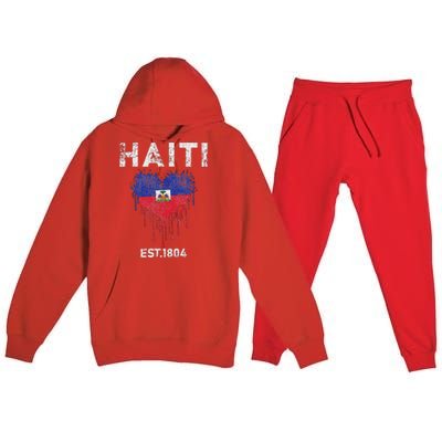 Vintage Haiti Flag Day Haitians Flag Pride Gifts Celebration Premium Hooded Sweatsuit Set