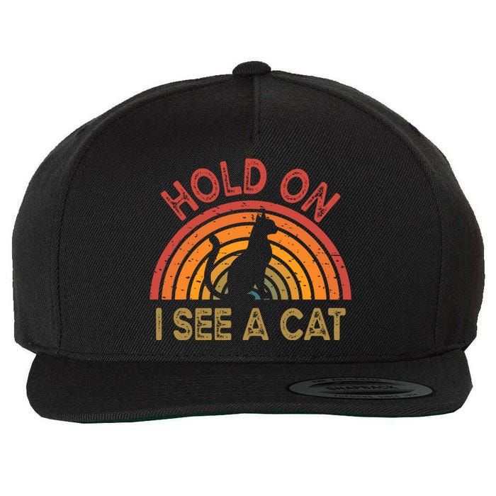 Vintage Hold On I See Cat Design Funny Saying Wool Snapback Cap