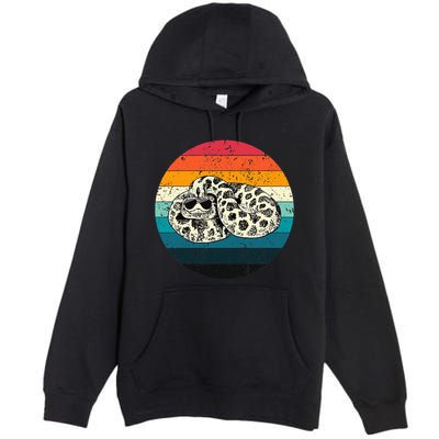 Vintage Hognose Snake with Sunglasses Herpetology Premium Pullover Hoodie