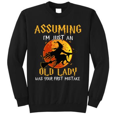 Vintage Halloween Witch Costume Beware of This Old Lady Sweatshirt