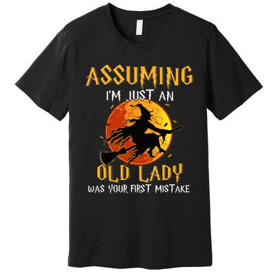 Vintage Halloween Witch Costume Beware of This Old Lady Premium T-Shirt