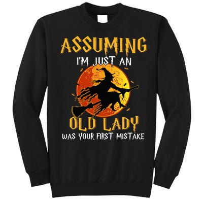 Vintage Halloween Witch Costume Beware of This Old Lady Tall Sweatshirt