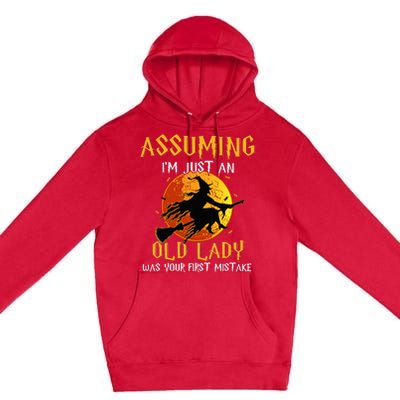 Vintage Halloween Witch Costume Beware of This Old Lady Premium Pullover Hoodie