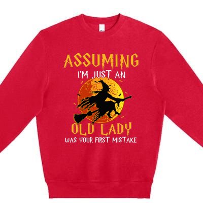 Vintage Halloween Witch Costume Beware of This Old Lady Premium Crewneck Sweatshirt