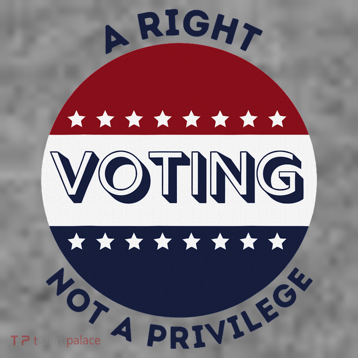 Voting Is A Right Not A Privilege Funny Quote 7-Panel Snapback Hat