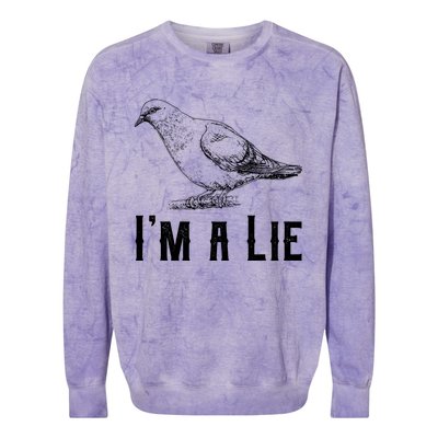 Vintage I Am A Lie Bird Aren't Real Spies Awesome Cute Gift Colorblast Crewneck Sweatshirt