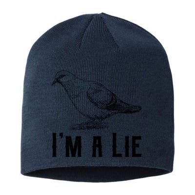 Vintage I Am A Lie Bird Aren't Real Spies Awesome Cute Gift Sustainable Beanie