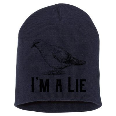 Vintage I Am A Lie Bird Aren't Real Spies Awesome Cute Gift Short Acrylic Beanie