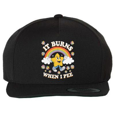Vintage It Burns When I Pee Funny Saying Sarcastic Wool Snapback Cap