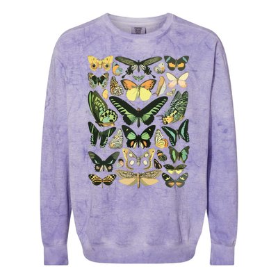 Vintage Inspired Butterfly Chart Colorblast Crewneck Sweatshirt