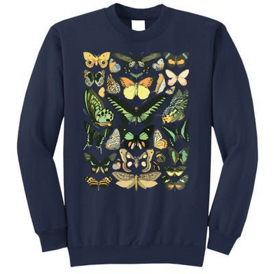 Vintage Inspired Butterfly Chart Sweatshirt