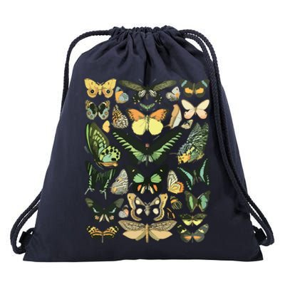 Vintage Inspired Butterfly Chart Drawstring Bag