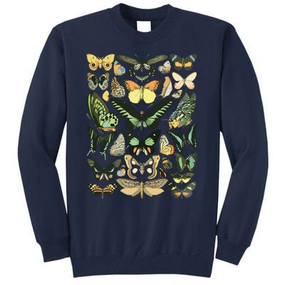 Vintage Inspired Butterfly Chart Tall Sweatshirt