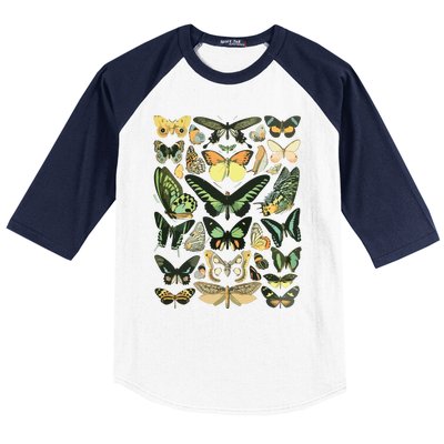 Vintage Inspired Butterfly Chart Baseball Sleeve Shirt