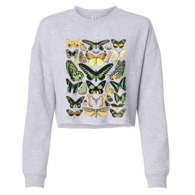 Vintage Inspired Butterfly Chart Cropped Pullover Crew