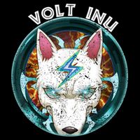 Volt Inu Crypto Token Cryptocurrency Wallet Volt Inu 7-Panel Snapback Hat