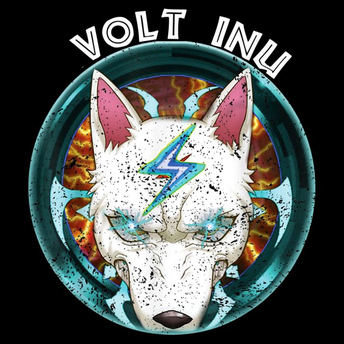 Volt Inu Crypto Token Cryptocurrency Wallet Volt Inu Drawstring Bag