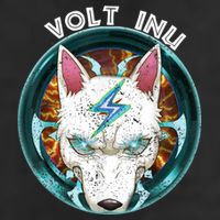 Volt Inu Crypto Token Cryptocurrency Wallet Volt Inu 25L Jumbo Tote