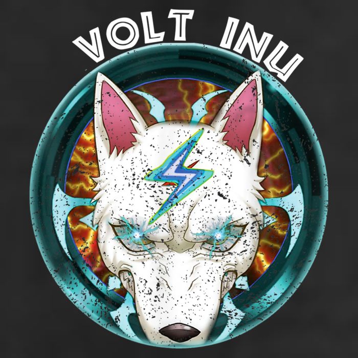 Volt Inu Crypto Token Cryptocurrency Wallet Volt Inu Hat