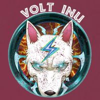 Volt Inu Crypto Token Cryptocurrency Wallet Volt Inu 16oz Travel Tumbler
