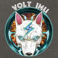 Volt Inu Crypto Token Cryptocurrency Wallet Volt Inu Cotton Canvas Backpack