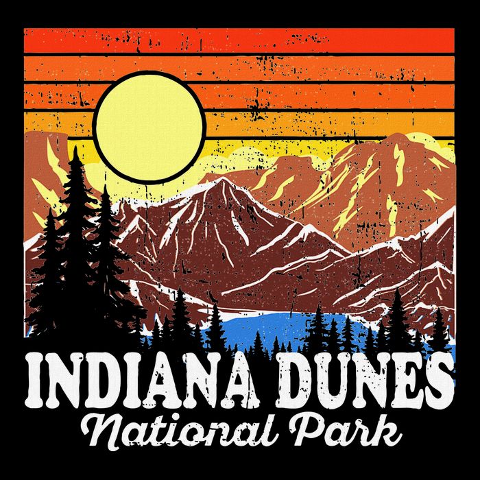 Vintage Indiana Dunes National Park Souvenir Womens T-Shirt