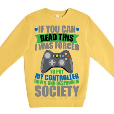 Video Game Respawn In Society Premium Crewneck Sweatshirt