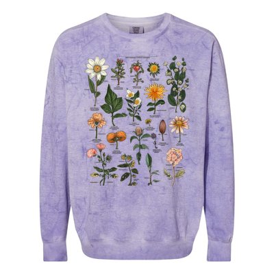 Vintage Inspired Flower Botanical Chart Tees Colorblast Crewneck Sweatshirt