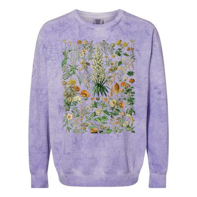 Vintage Inspired Flower Botanical Chart Colorblast Crewneck Sweatshirt