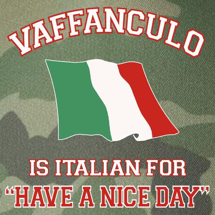 Vaffanculo Is Italian For Have A Nice Day Legacy Tie Dye Trucker Hat
