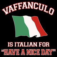 Vaffanculo Is Italian For Have A Nice Day 7-Panel Snapback Hat