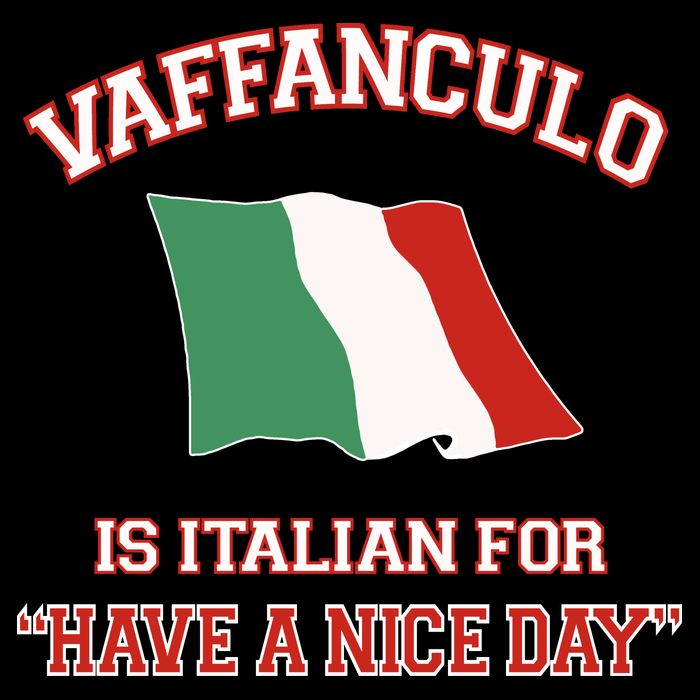 Vaffanculo Is Italian For Have A Nice Day 7-Panel Snapback Hat