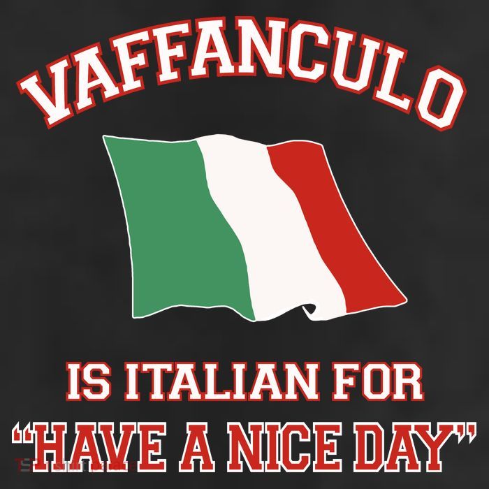 Vaffanculo Is Italian For Have A Nice Day 11oz C Handle Ceramic Mug