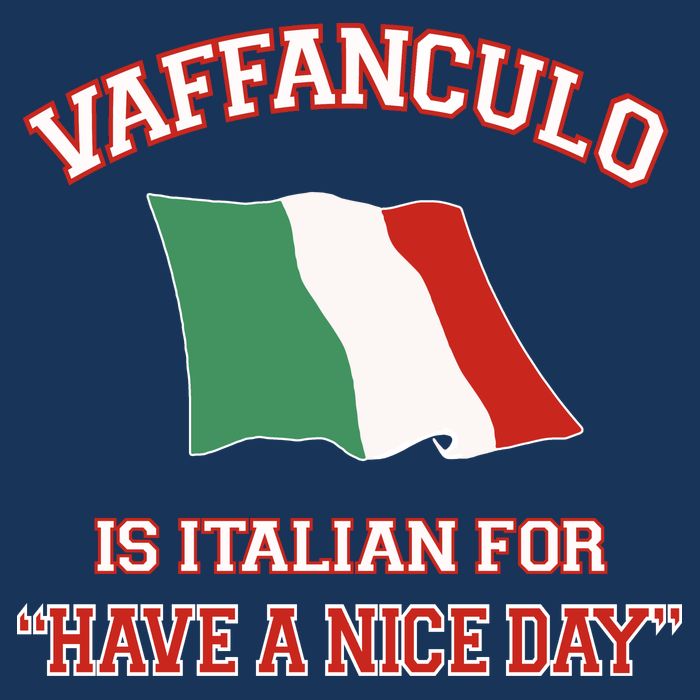 Vaffanculo Is Italian For Have A Nice Day Infant Baby Jersey Bodysuit