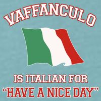 Vaffanculo Is Italian For Have A Nice Day Sueded Cloud Jersey T-Shirt