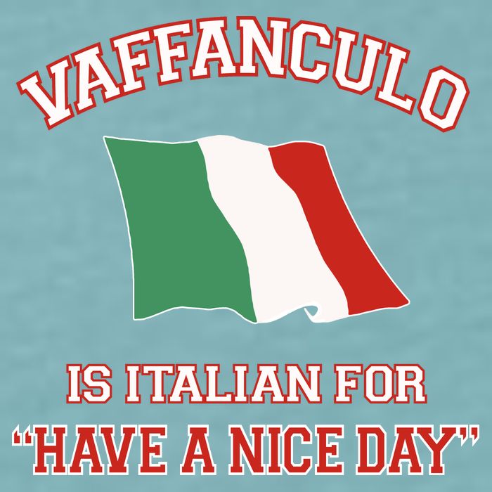 Vaffanculo Is Italian For Have A Nice Day Sueded Cloud Jersey T-Shirt