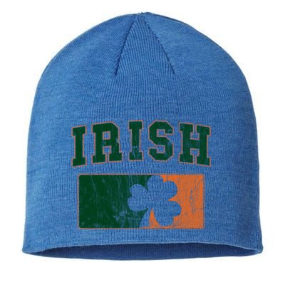 Vintage Irish Ireland Shamrocks Retro St Patricks Day Gift Sustainable Beanie