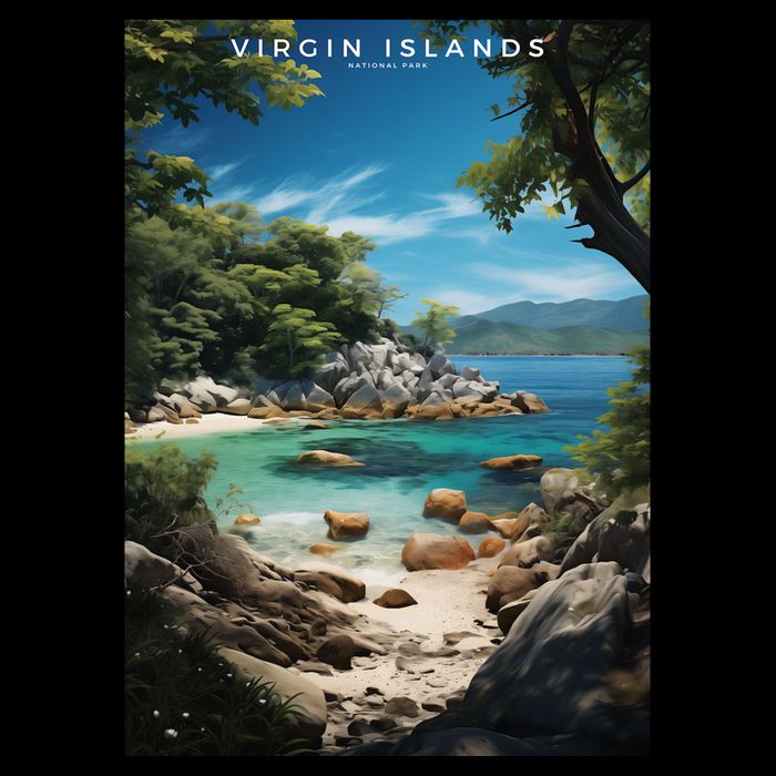 Virgin Islands National Park Tie-Dye T-Shirt